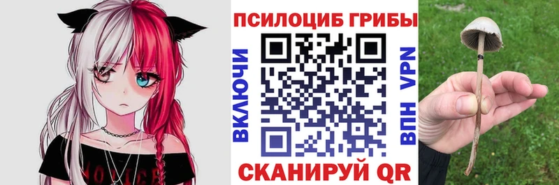 купить наркотик  Ворсма  Галлюциногенные грибы прущие грибы 